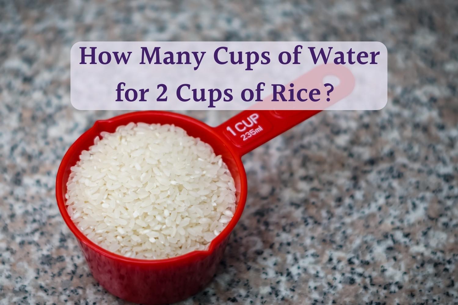 Perfect Two Cups of Rice: How Much Water to Use? - PlantHD